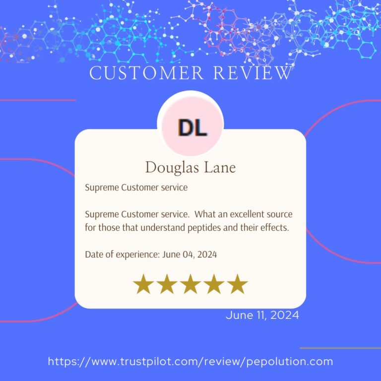 dl Review 2