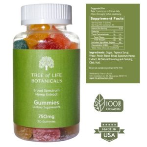 CBD Gummies - 750mg